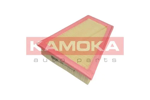 Air Filter (F218801)
