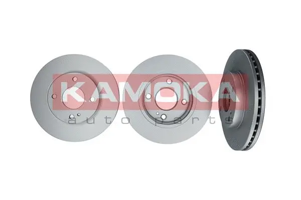 Brake Disc (1031009)