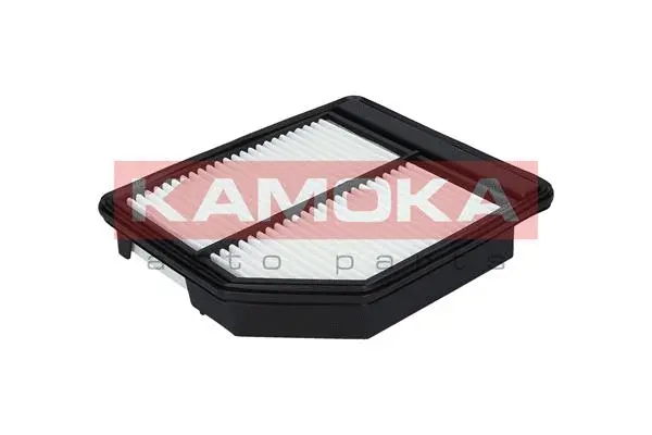 Air Filter (F211501)