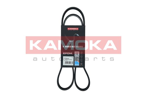 V-Ribbed Belt (7016075)