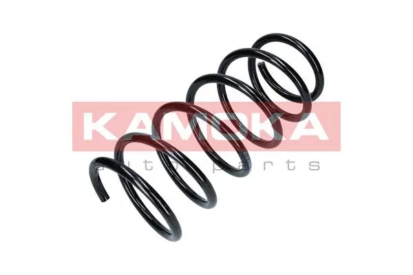 Suspension Spring (2110198)