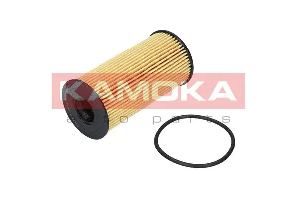 Oil Filter (F107701)
