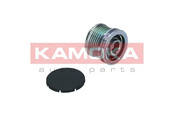 Alternator Freewheel Clutch (RC011)