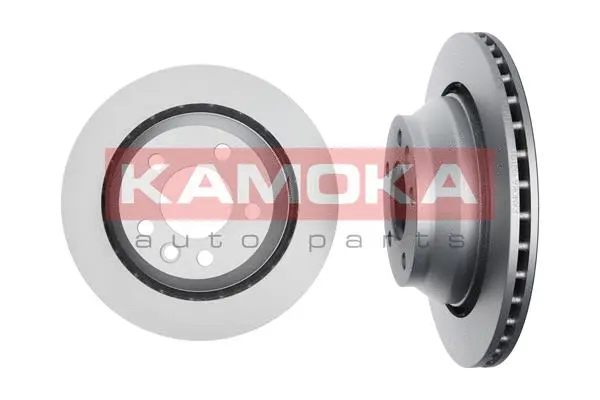 Brake Disc (1031121)
