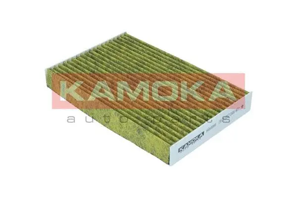 Filter, cabin air (6080090)