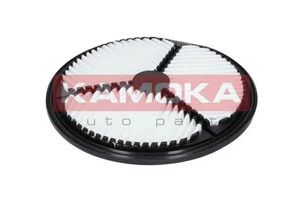 Air Filter (F202601)