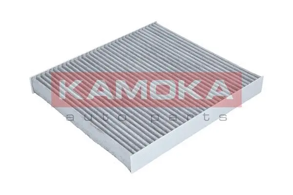 Filter, cabin air (F509601)