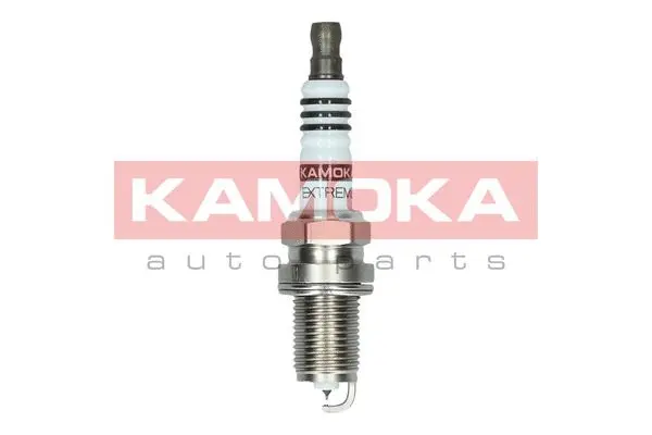 Spark Plug (7100050)