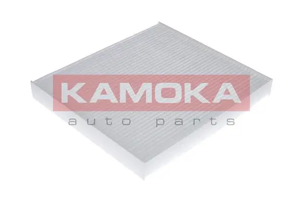 Filter, cabin air (F410201)
