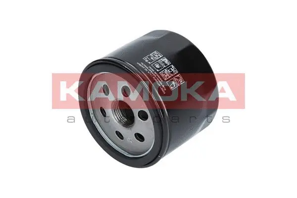 Oil Filter (F106201)