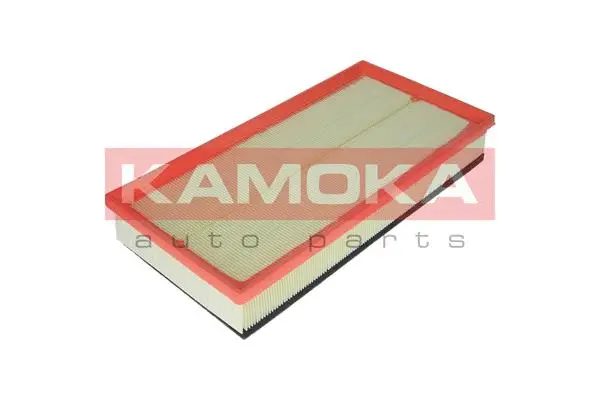 Air Filter (F230601)
