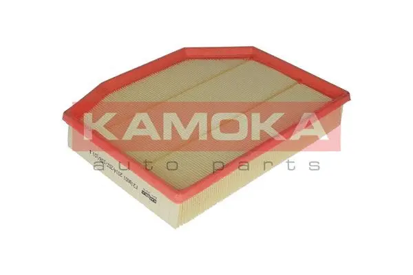 Air Filter (F218601)