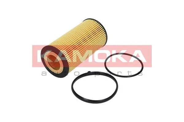 Oil Filter (F115101)