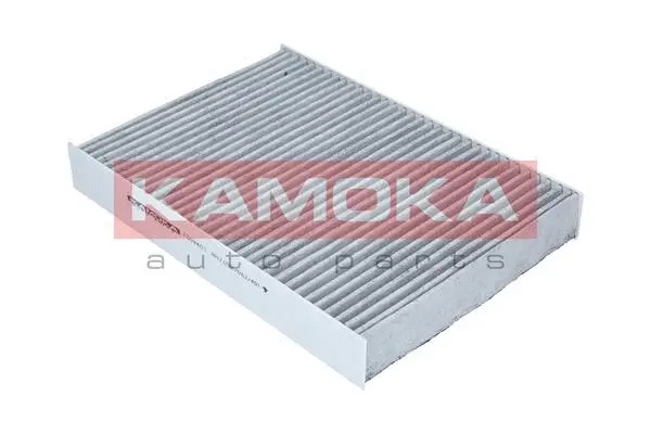 Filter, cabin air (F509401)
