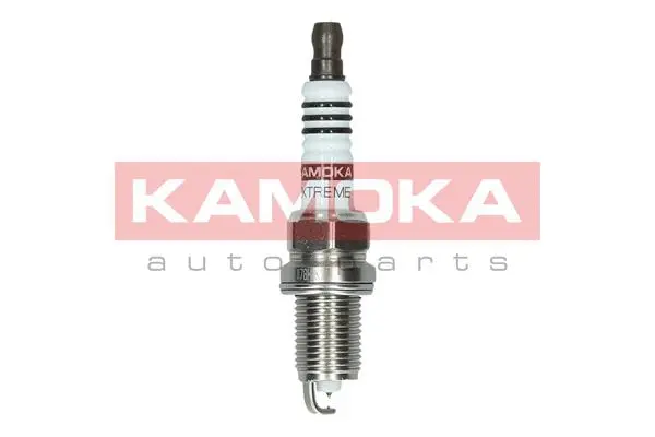 Spark Plug (7100044)