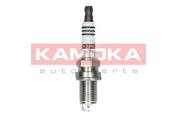 Spark Plug (7090020)