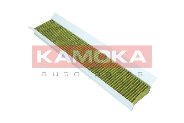 Filter, cabin air (6080019)