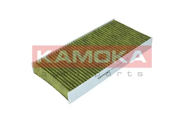 Filter, cabin air (6080032)