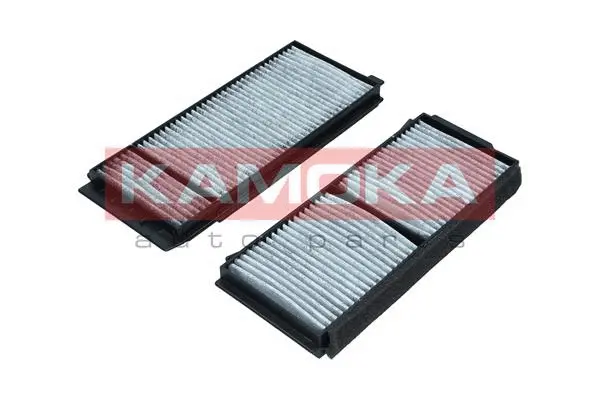 Filter, cabin air (F518201)