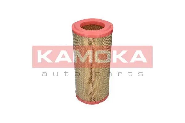 Air Filter (F236101)