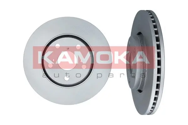 Brake Disc (103109)