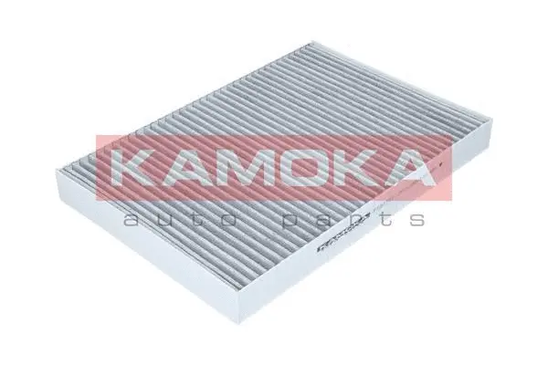 Filter, cabin air (F502701)