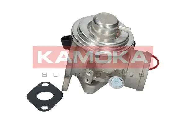 EGR Valve (19025)