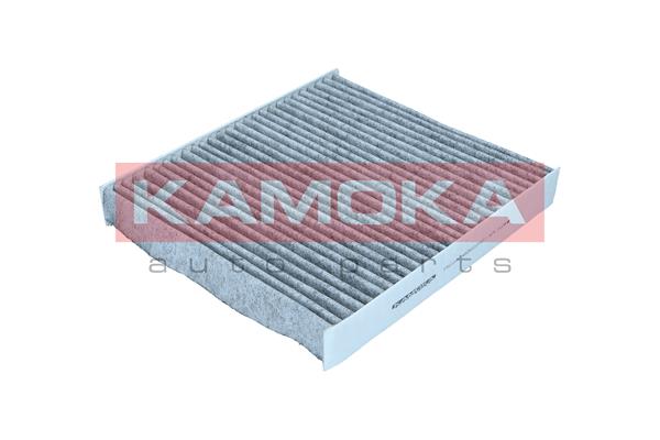 Filter, cabin air (F521201)