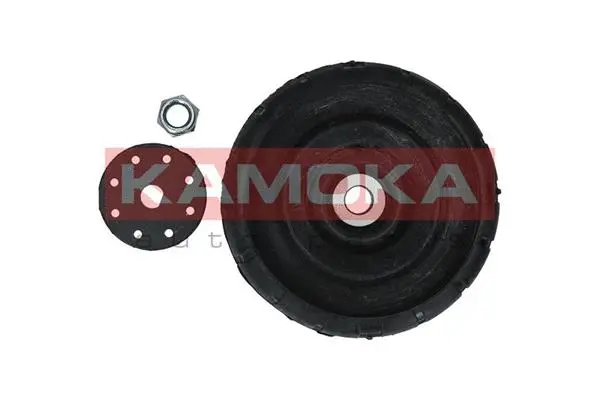 Repair Kit, suspension strut support mount (209016)