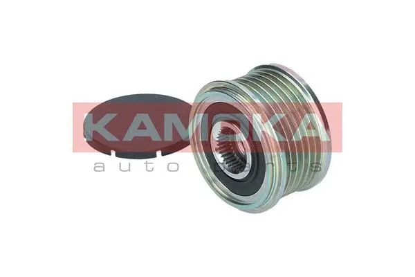 Alternator Freewheel Clutch
