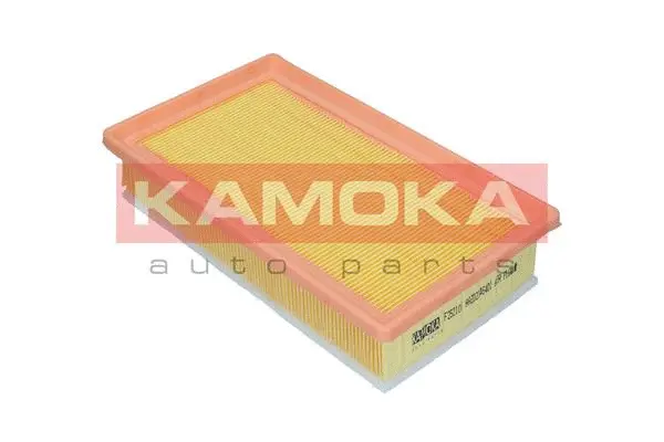 Air Filter (F252101)