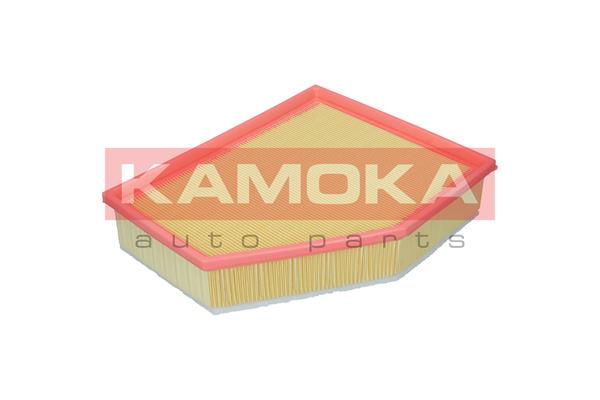 Air Filter (F255601)