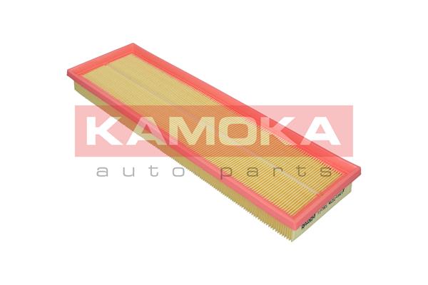 Air Filter (F257901)
