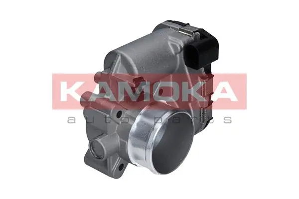 Throttle Body (112022)