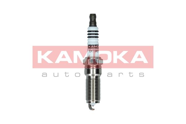 Spark Plug (7090036)