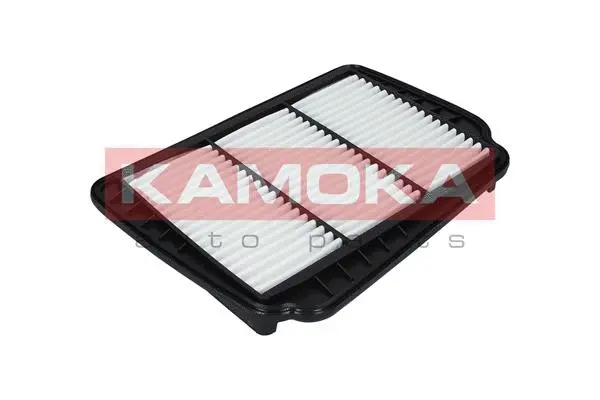 Air Filter (F223001)
