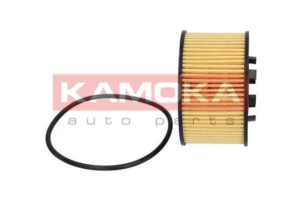 Oil Filter (F103001)
