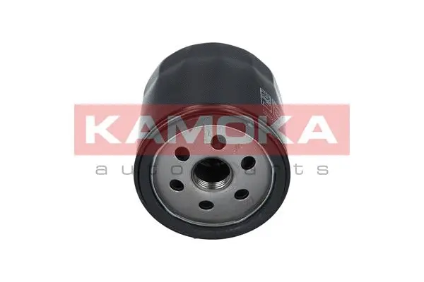 Oil Filter (F101901)