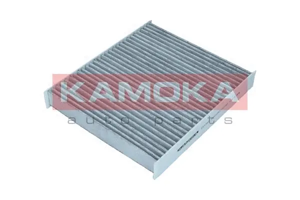 Filter, cabin air (F517501)