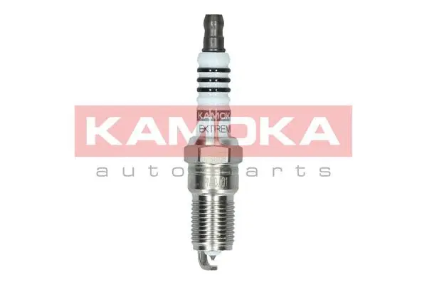 Spark Plug (7090016)
