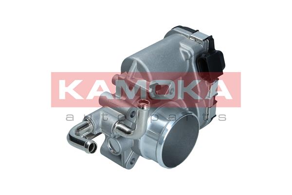Throttle Body (112053)