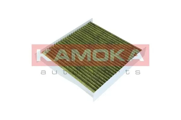 Filter, cabin air (6080020)