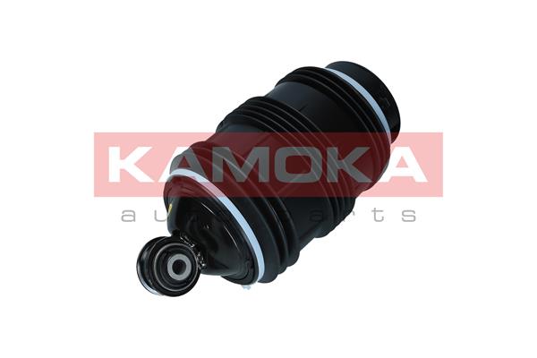 Air Spring, suspension