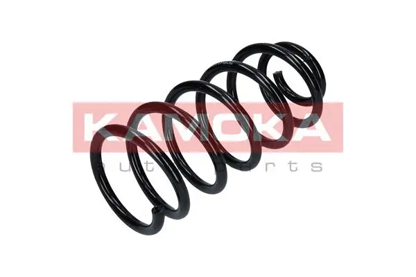 Suspension Spring (2120160)