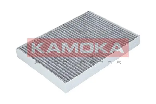 Filter, cabin air (F508101)