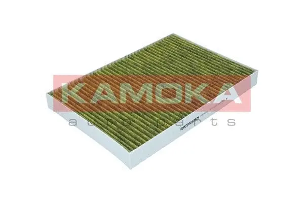 Filter, cabin air (6080013)