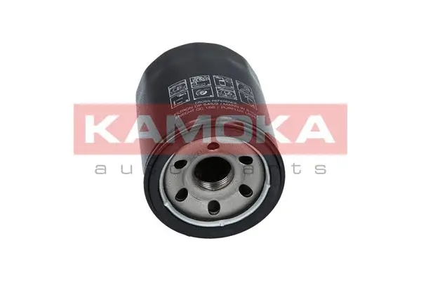 Oil Filter (F101401)
