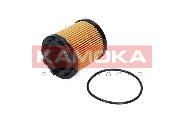 Oil Filter (F109101)