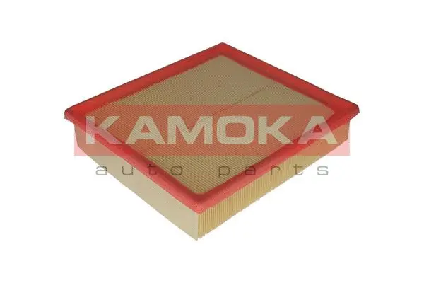 Air Filter (F217201)