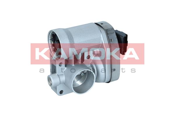 Throttle Body (112055)